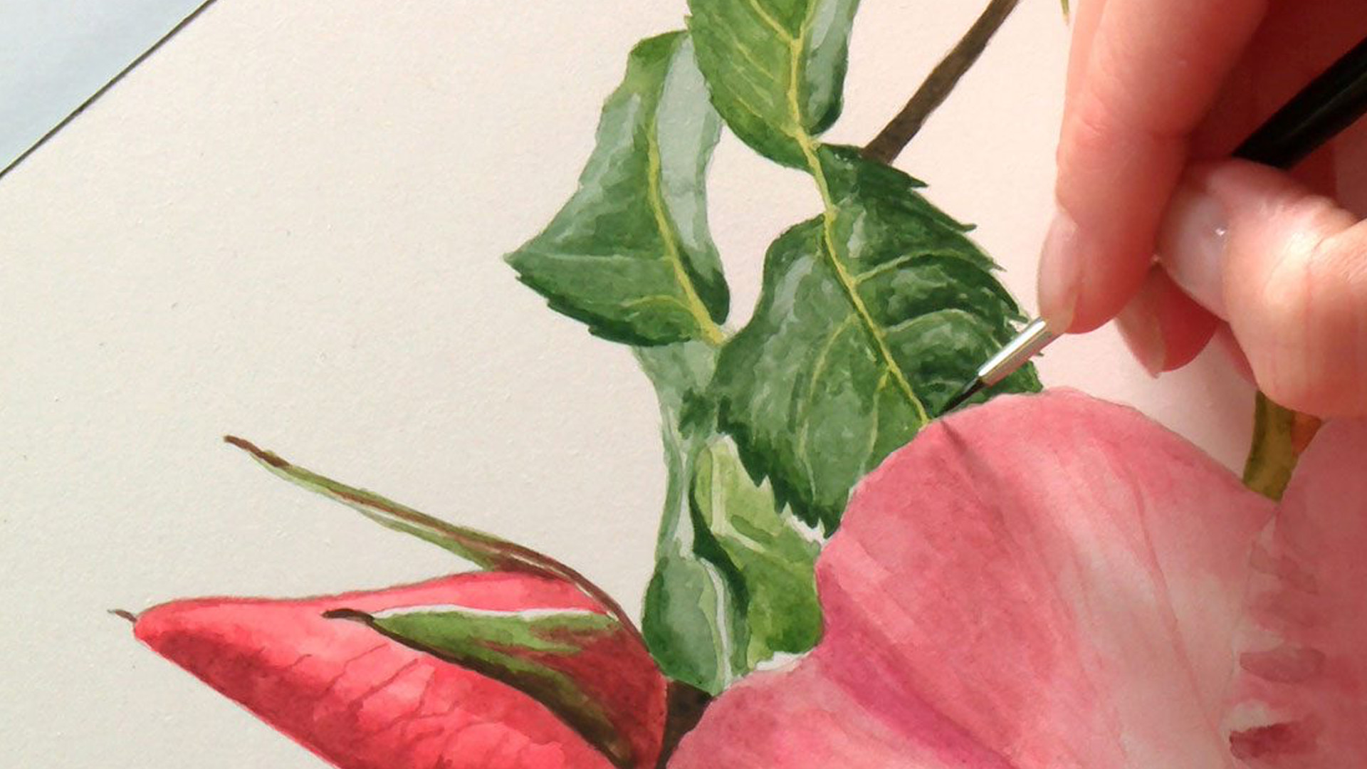 Realistic water color painting of a leaf